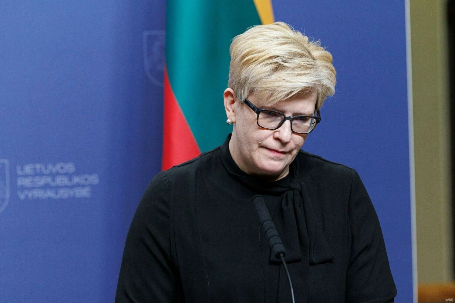 Ingrida Šimonytė, premjerė. Vladimiro Ivanovo (VŽ) nuotr.