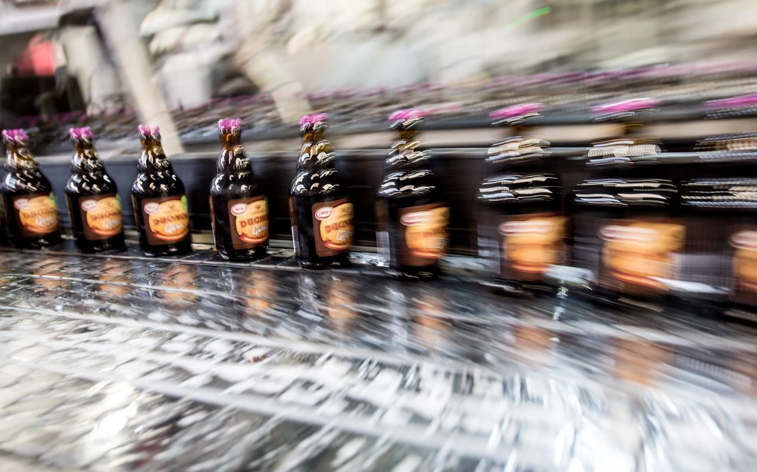 Juditos Grigelytės (VŽ) nuotr.