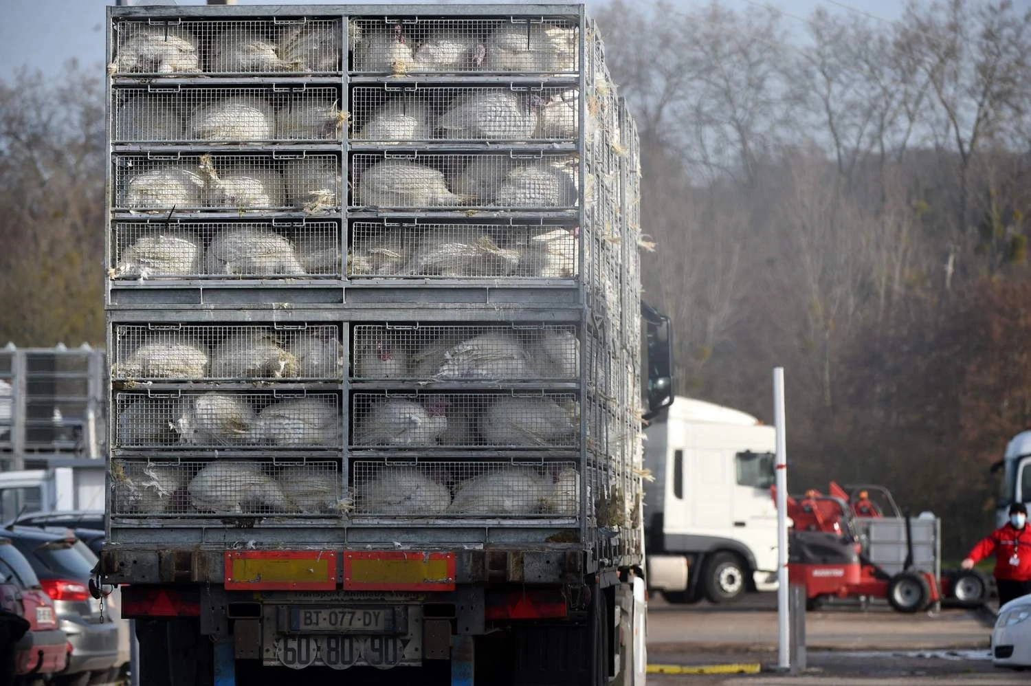 Jeano-Francoiso Monier („AFP“/ „Scanpix“) nuotr.