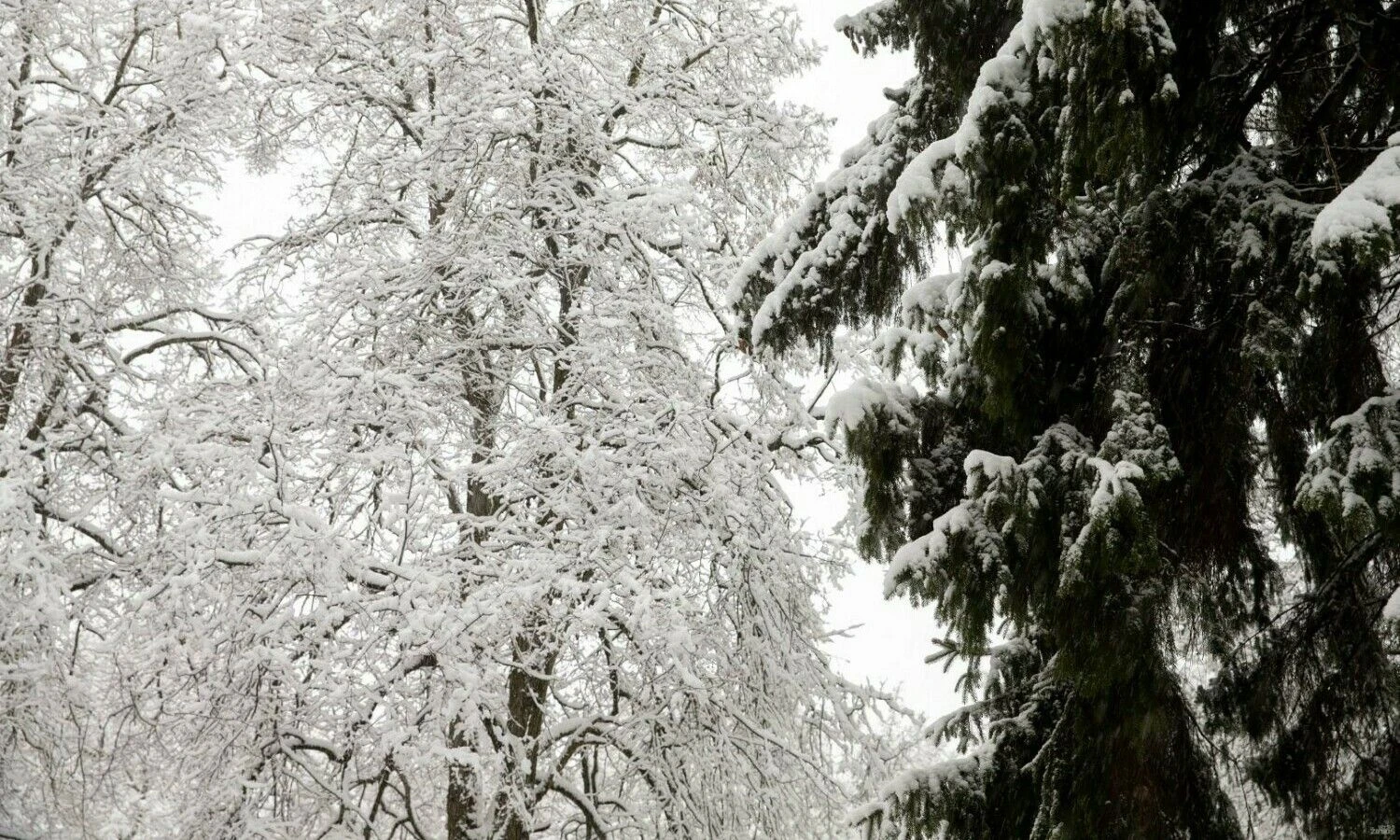 Juditos Grigelytės (VŽ) nuotr.