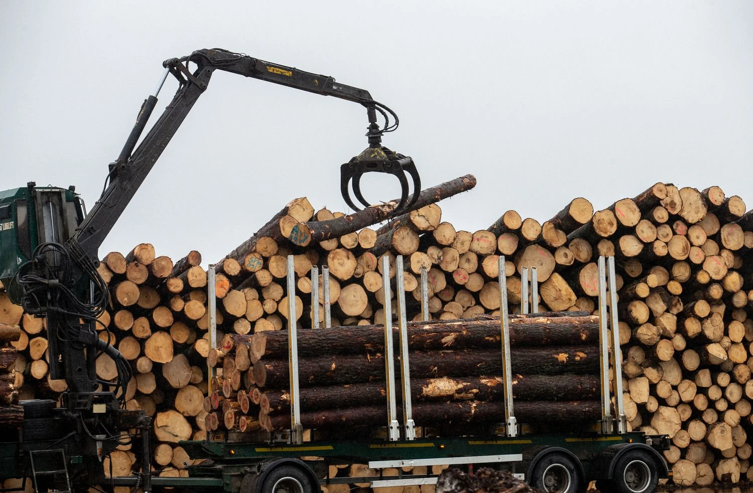 Juditos Grigelytės (VŽ) nuotr.