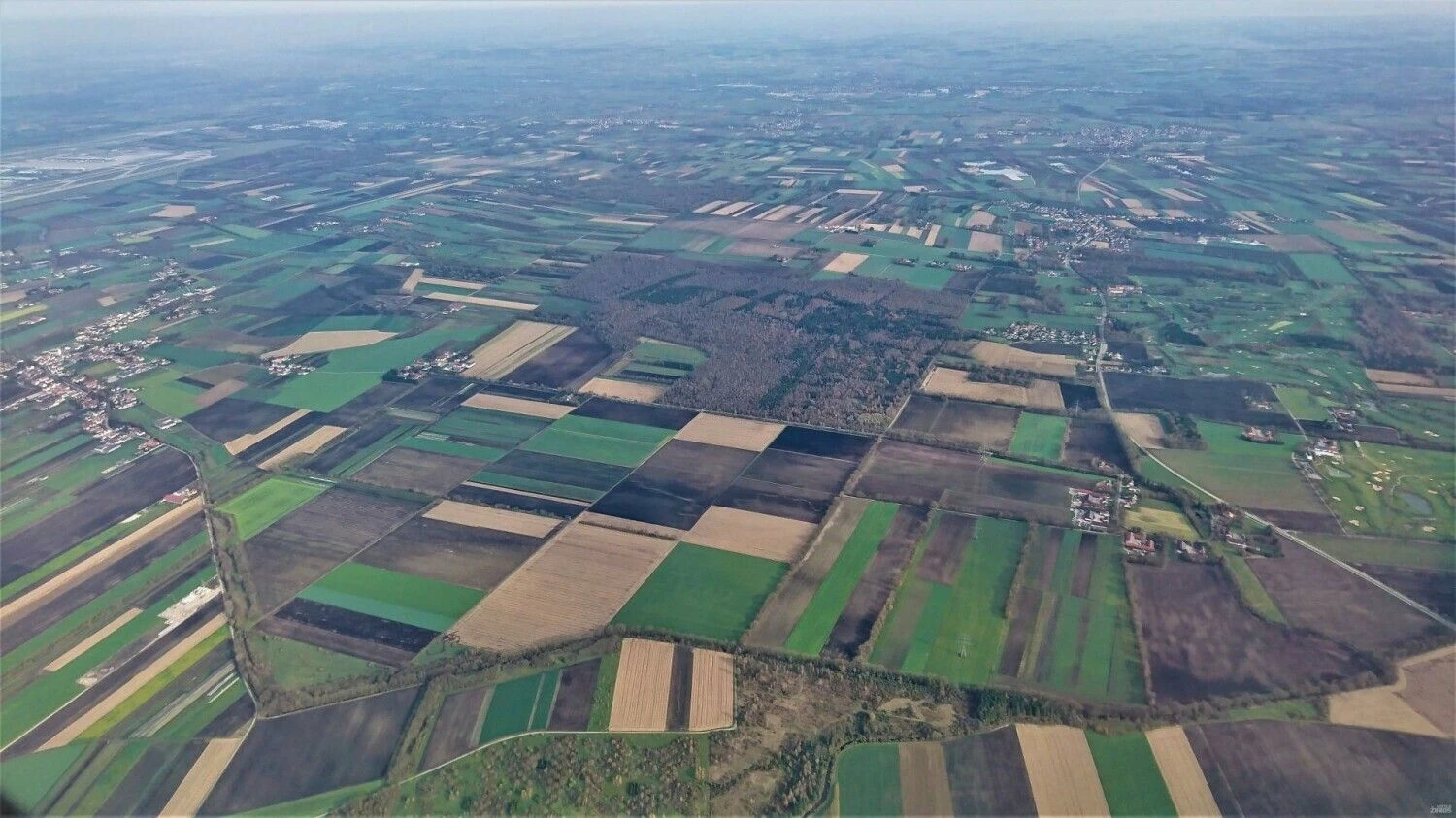 Lino Butkaus (VŽ) nuotr.