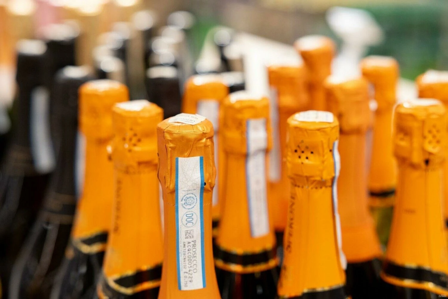 Juditos Grigelytės (VŽ) nuotr.