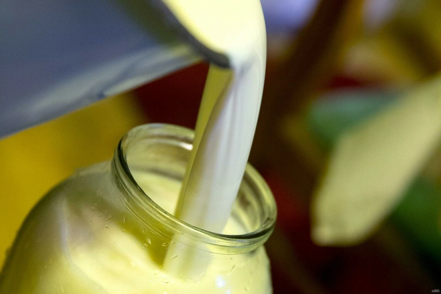 Vladimiro Ivanovo (VŽ) nuotr.