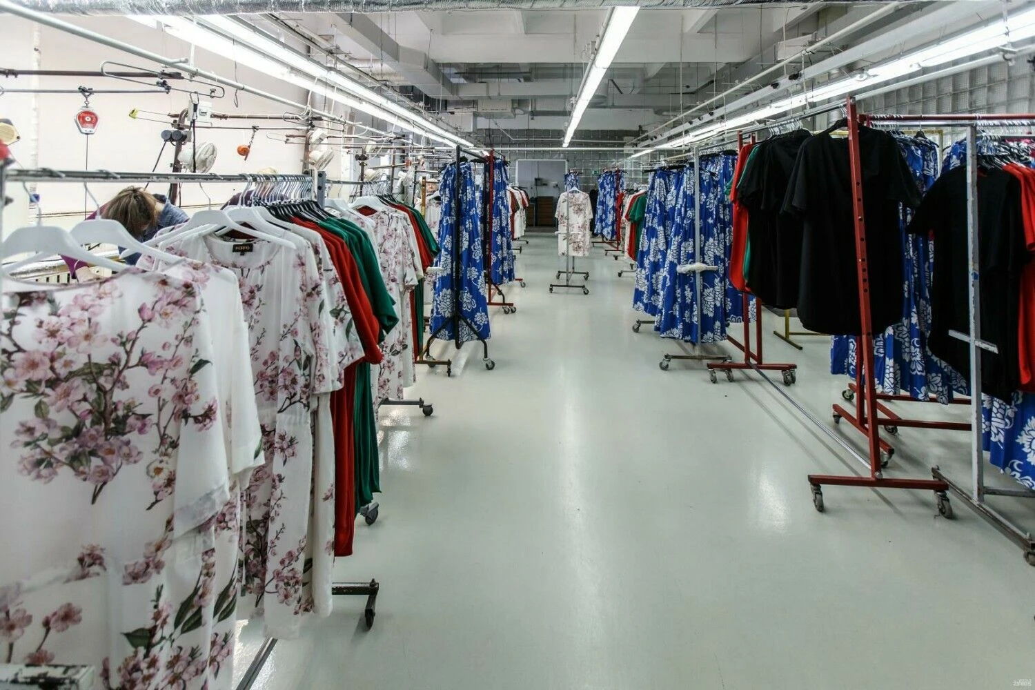 Vladimiro Ivanovo (VŽ) nuotr.