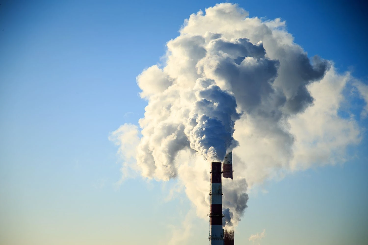 Vladimiro Ivanovo (VŽ) nuotr.