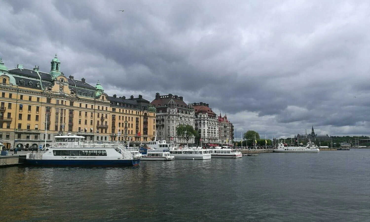 Pauliaus Čiulados nuotr.