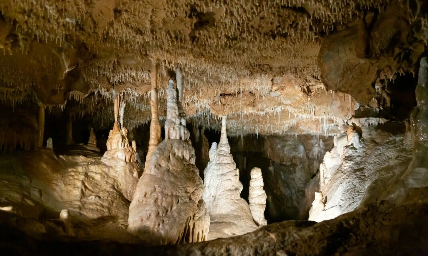 Balkarkos urvas vaizdingame karstiniame slėnyje netoli Ostrov u Macochy miesto pietų Moravijoje. „Shutterstock“ nuotr.