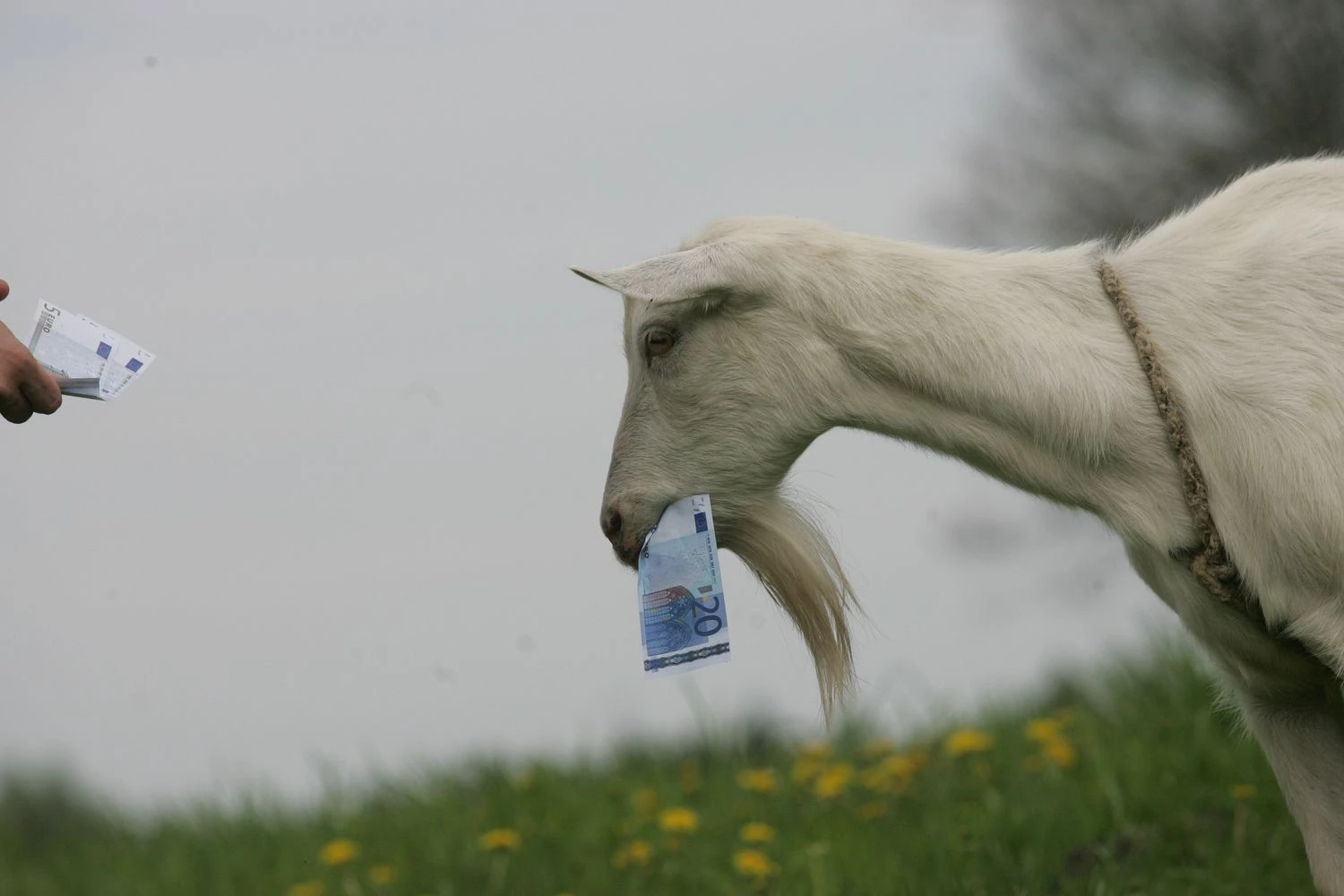 Juditos Grigelytės (VŽ) nuotr.