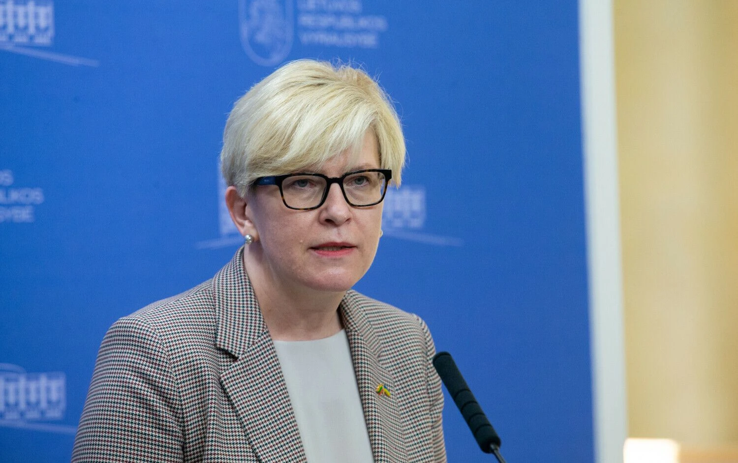 Premjerė Ingrida Šimonytė. Juditos Grigelytės (VŽ) nuotr.
