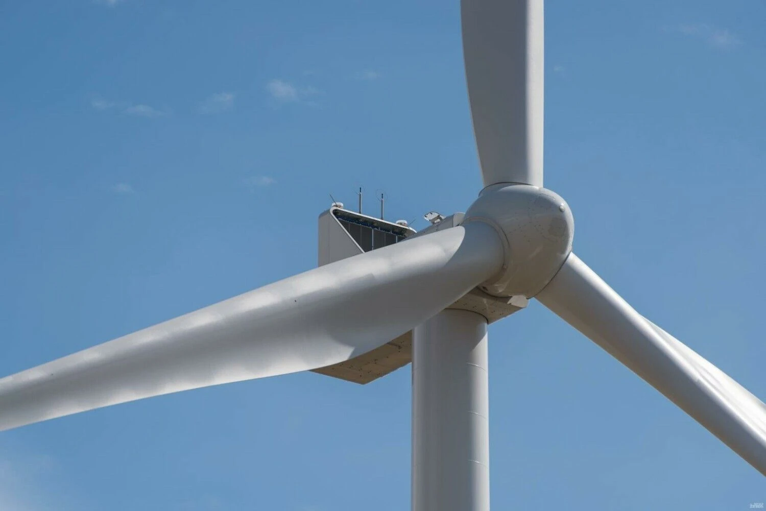 „Shutterstock“ nuotr.