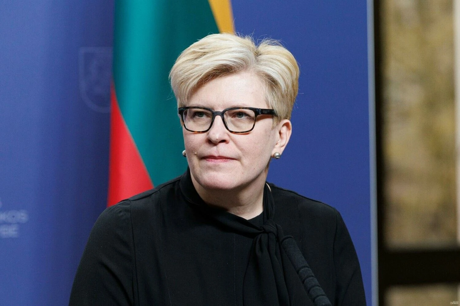 Vladimiro Ivanovo (VŽ) nuotr.
