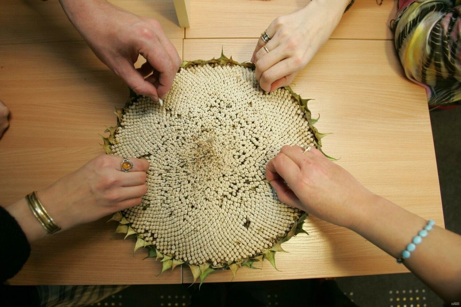 Vladimiro Ivanovo (VŽ) nuotr.