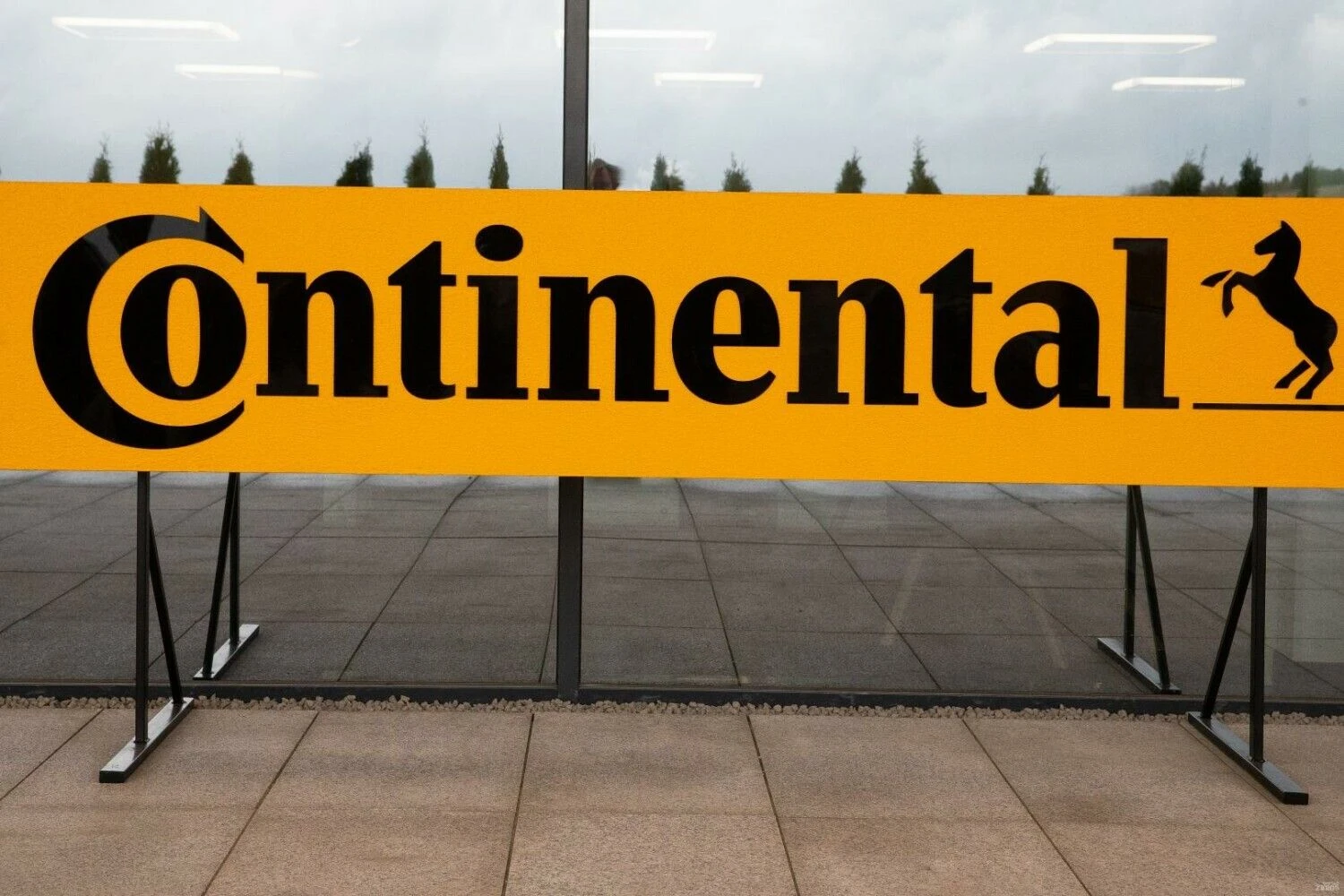 Vladimiro Ivanovo (VŽ) nuotr.