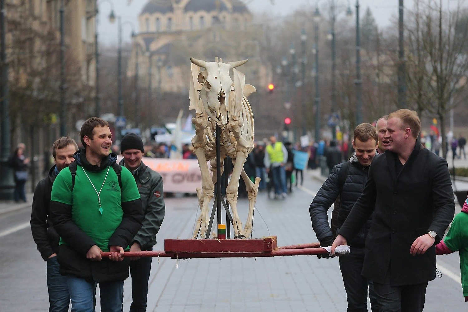 Vladimiro Ivanovo (VŽ) nuotr.