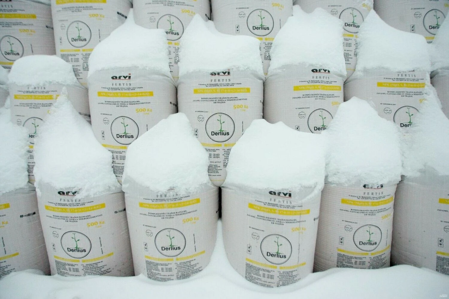 Vladimiro Ivanovo (VŽ) nuotr.