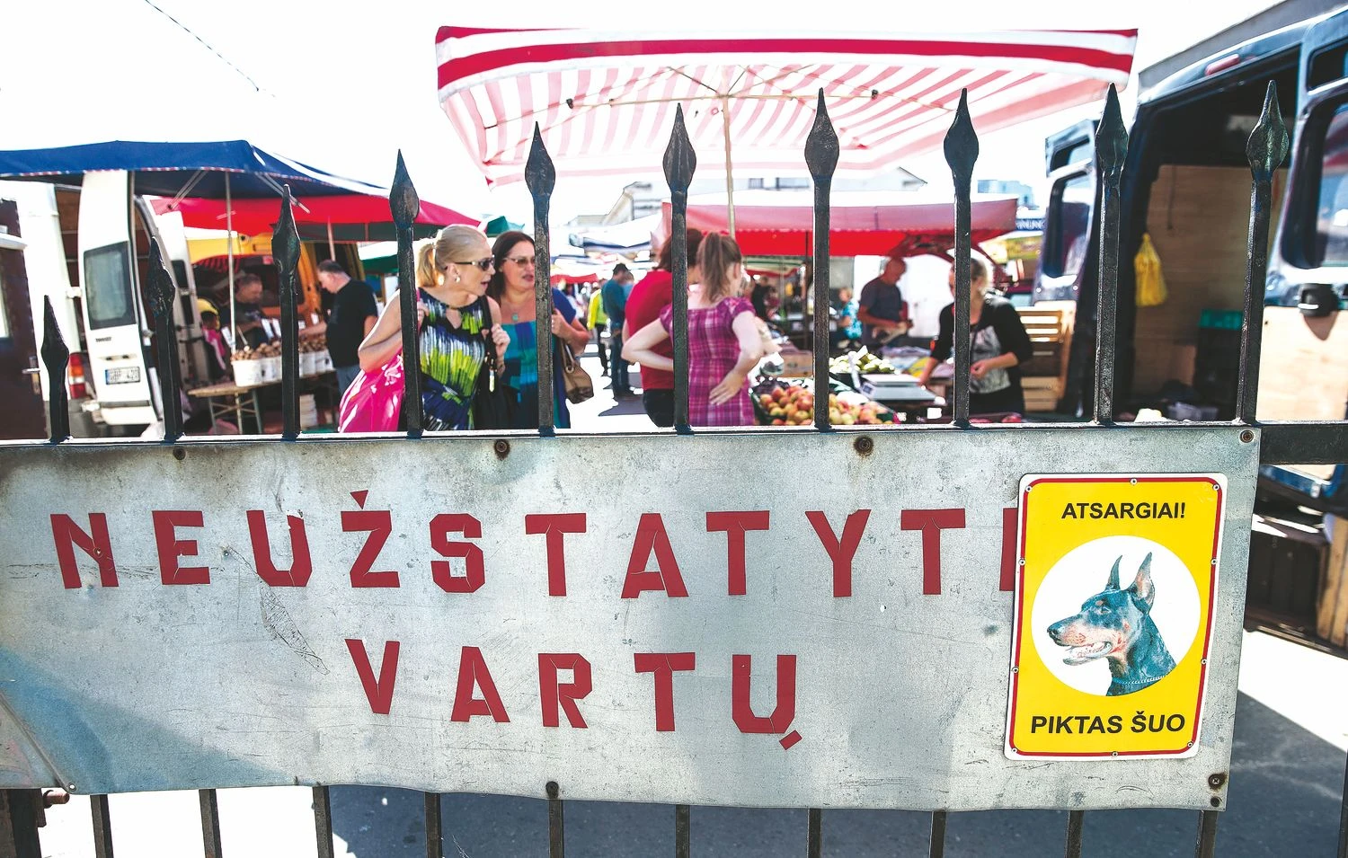    
Juditos Grigelytės (VŽ) nuotr.