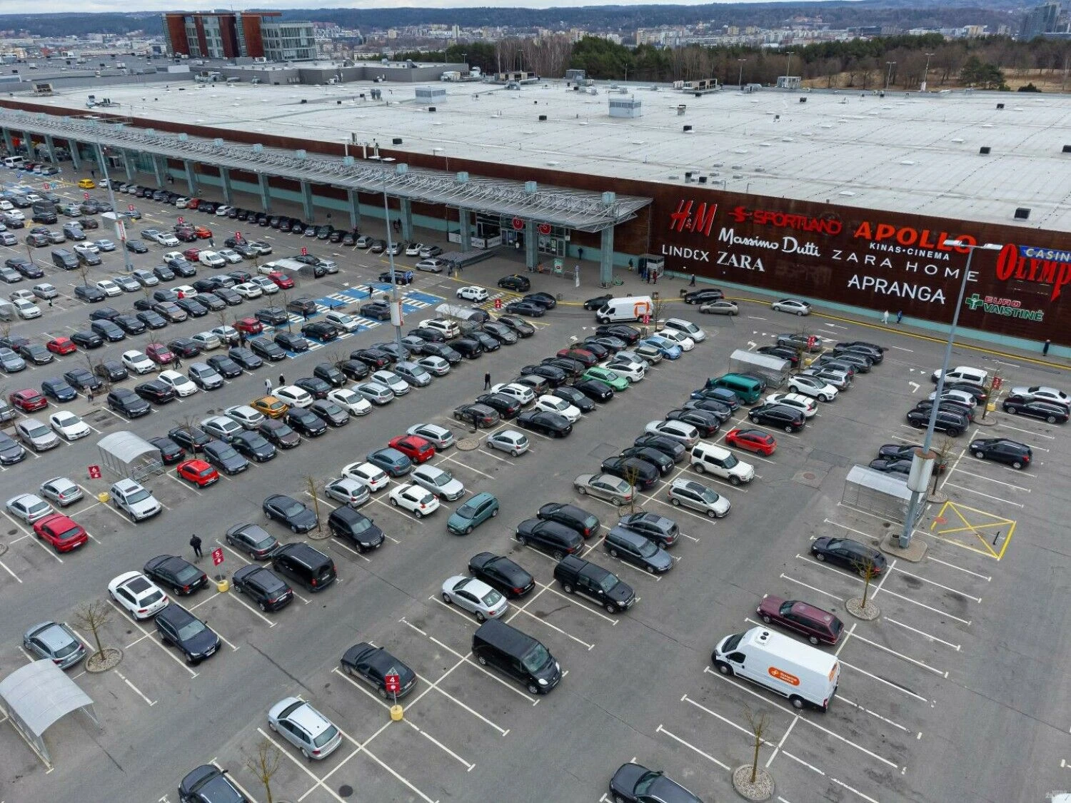 Vladimiro Ivanovo (VŽ) nuotr.