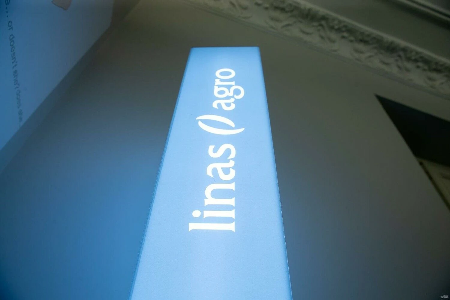 Juditos Grigelytės (VŽ) nuotr.