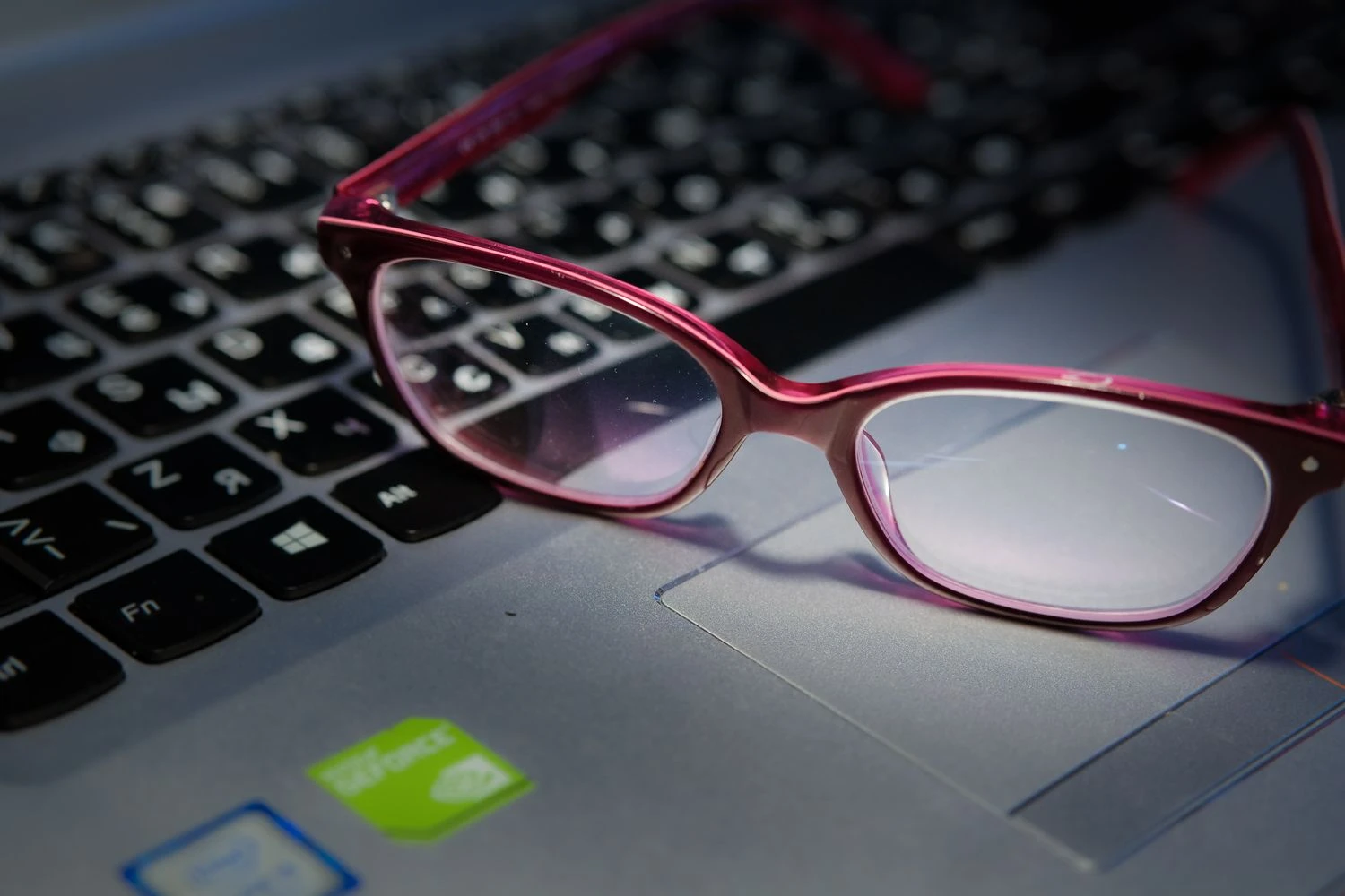 Vladimiro Ivanovo (VŽ) nuotr.