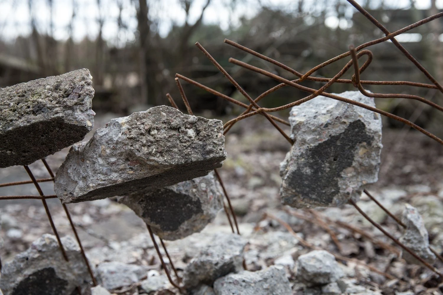  Juditos Grigelytės (VŽ) nuotr.