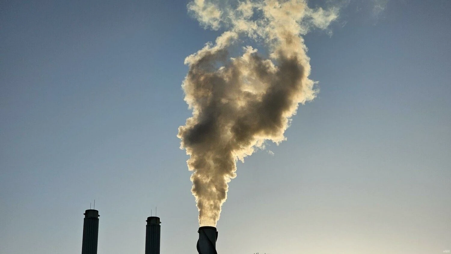 Lino Butkaus (VŽ) nuotr.