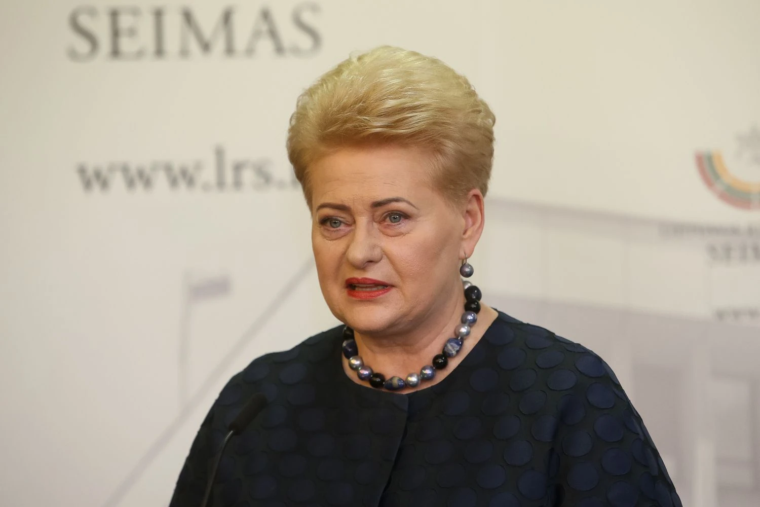 Prezidentė Dalia Grybauskaitė Seime. Vladimiro Ivanovo (VŽ) nuotr.
