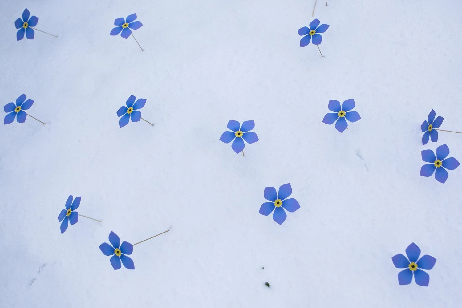 Irmanto Gelūno („15min“ / „Scanpix“) nuotr.