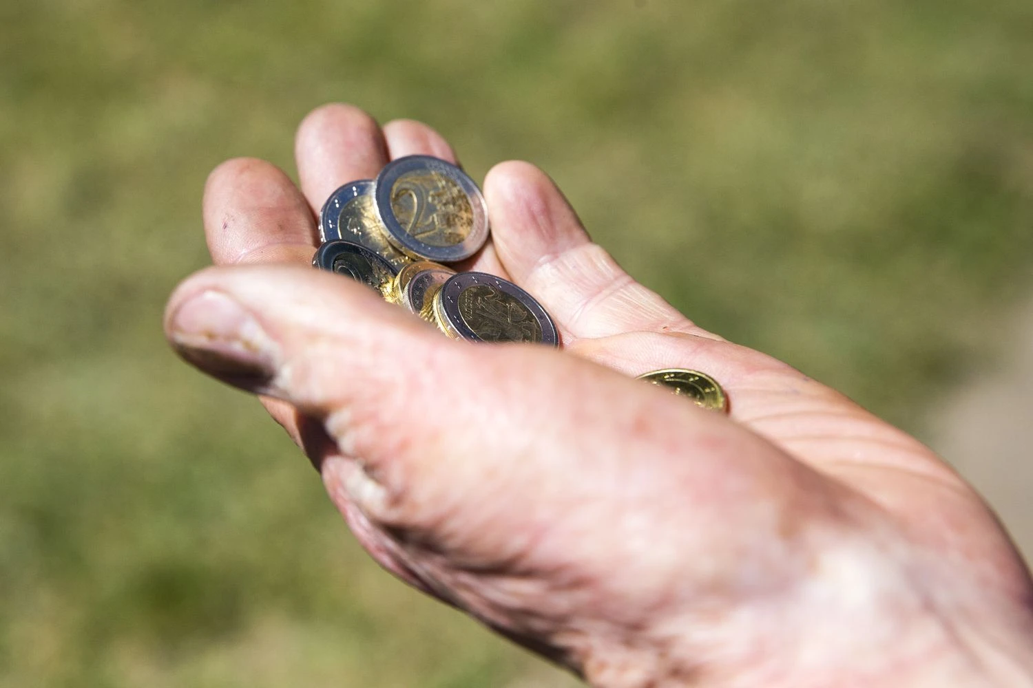 Juditos Grigelytės (VŽ) nuotr.