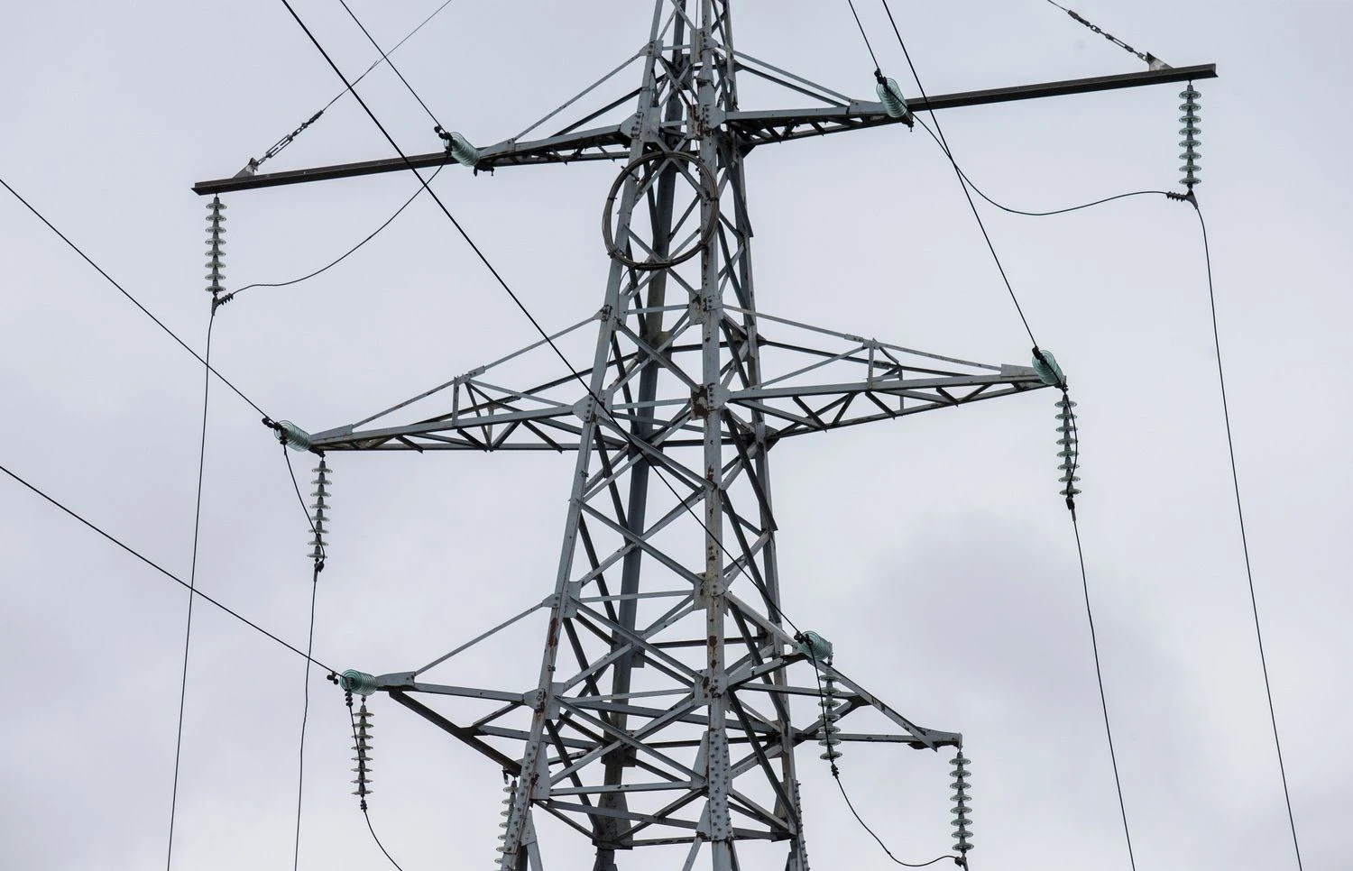 Juditos Grigelytės (VŽ) nuotr.