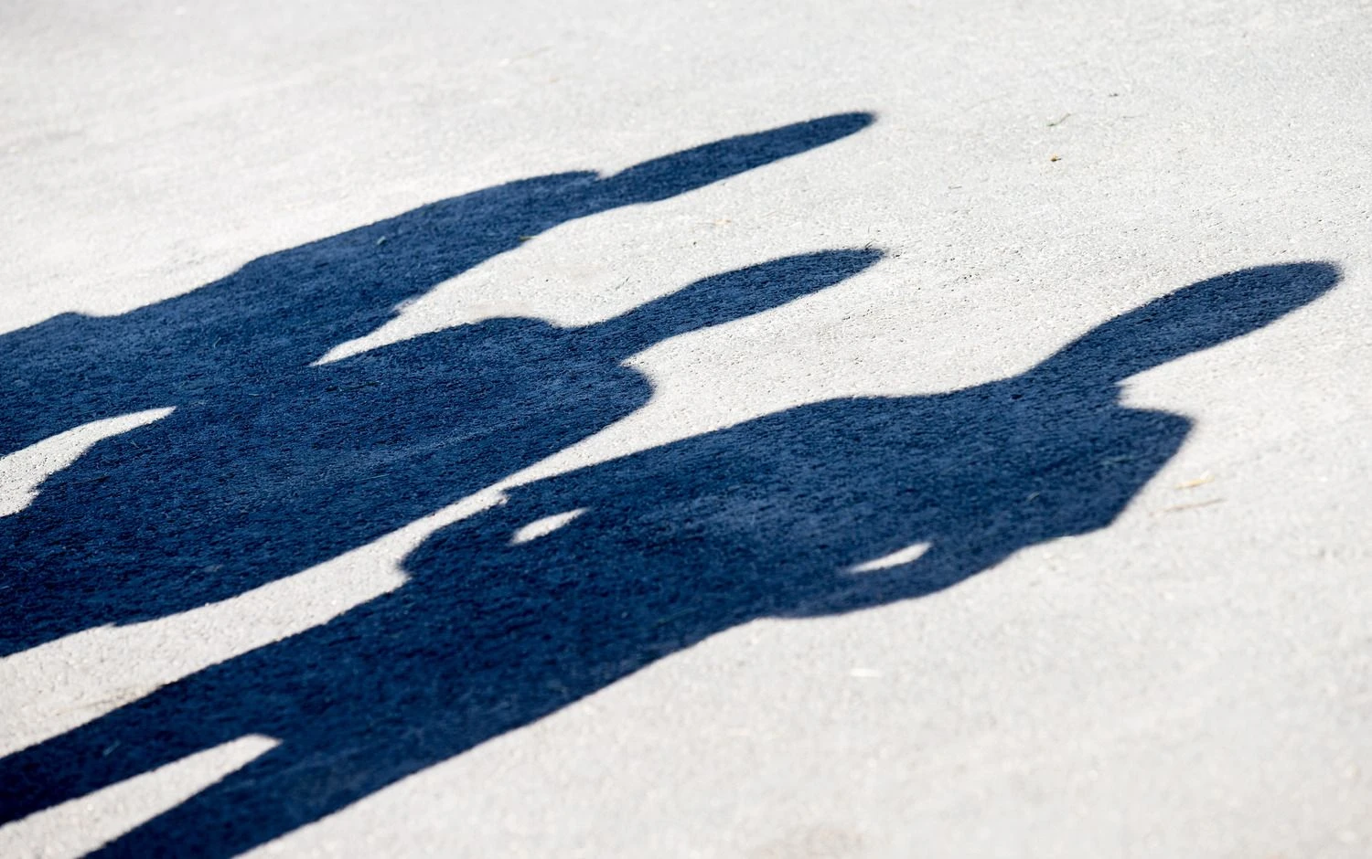 Juditos Grigelytės (VŽ) nuotr.