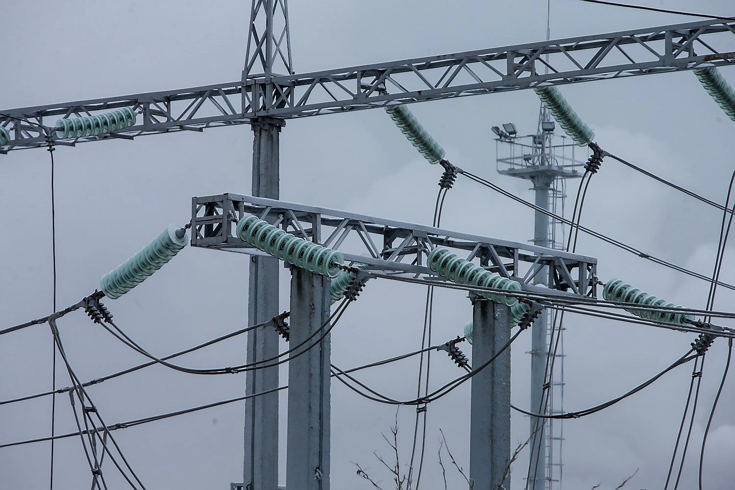 Juditos Grigelytės (VŽ) nuotr.
