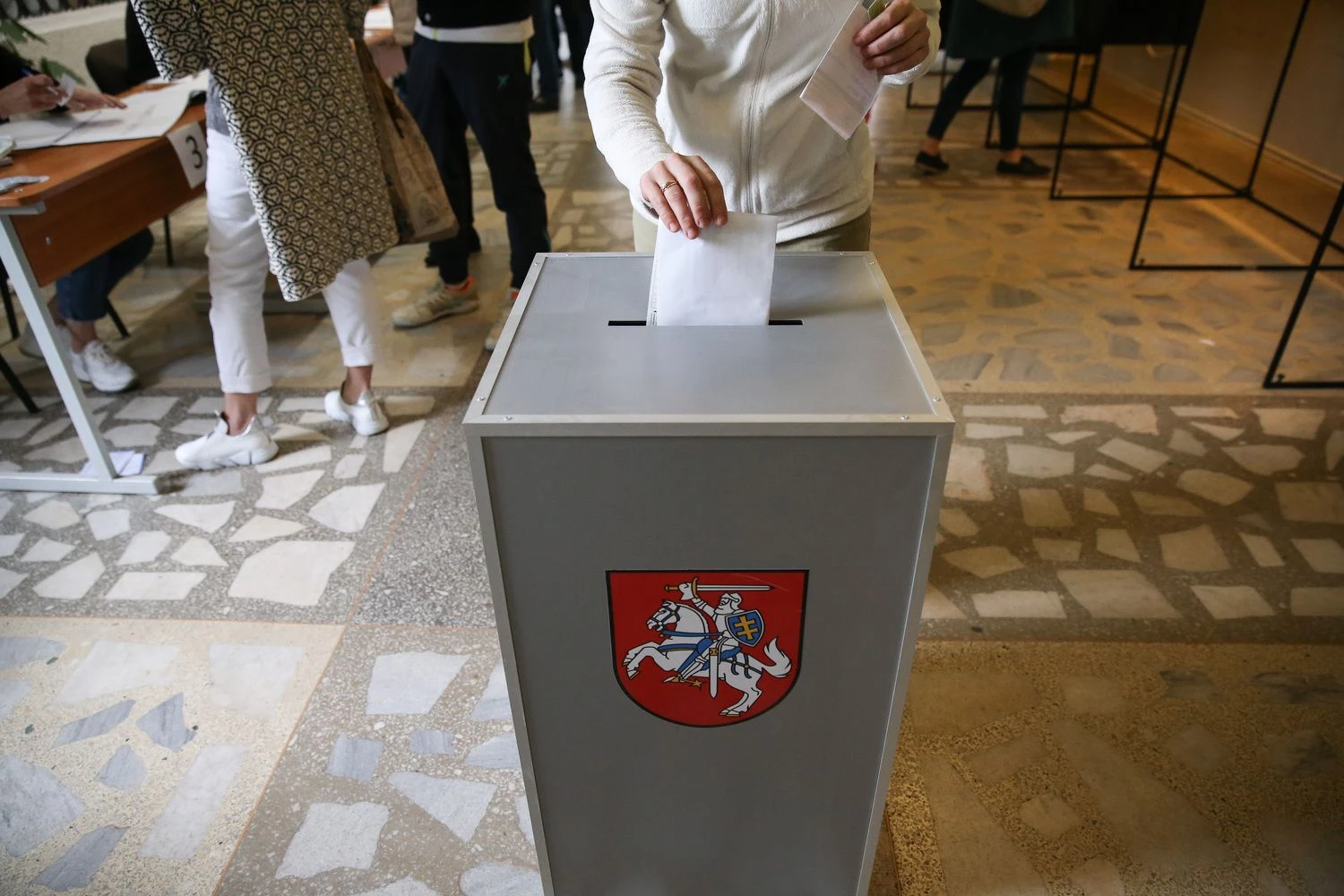 Vladimiro Ivanovo (VŽ) nuotr.