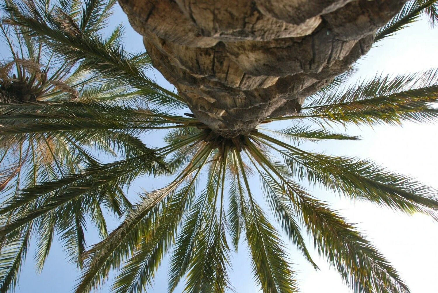 Alekso Rozentalio nuotr.