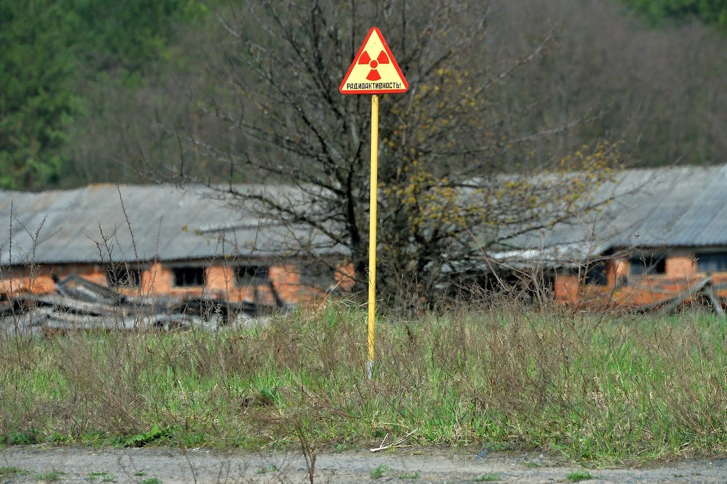 Viktoro Tolochko („Sputnik“ / „Scanpix“) nuotr.