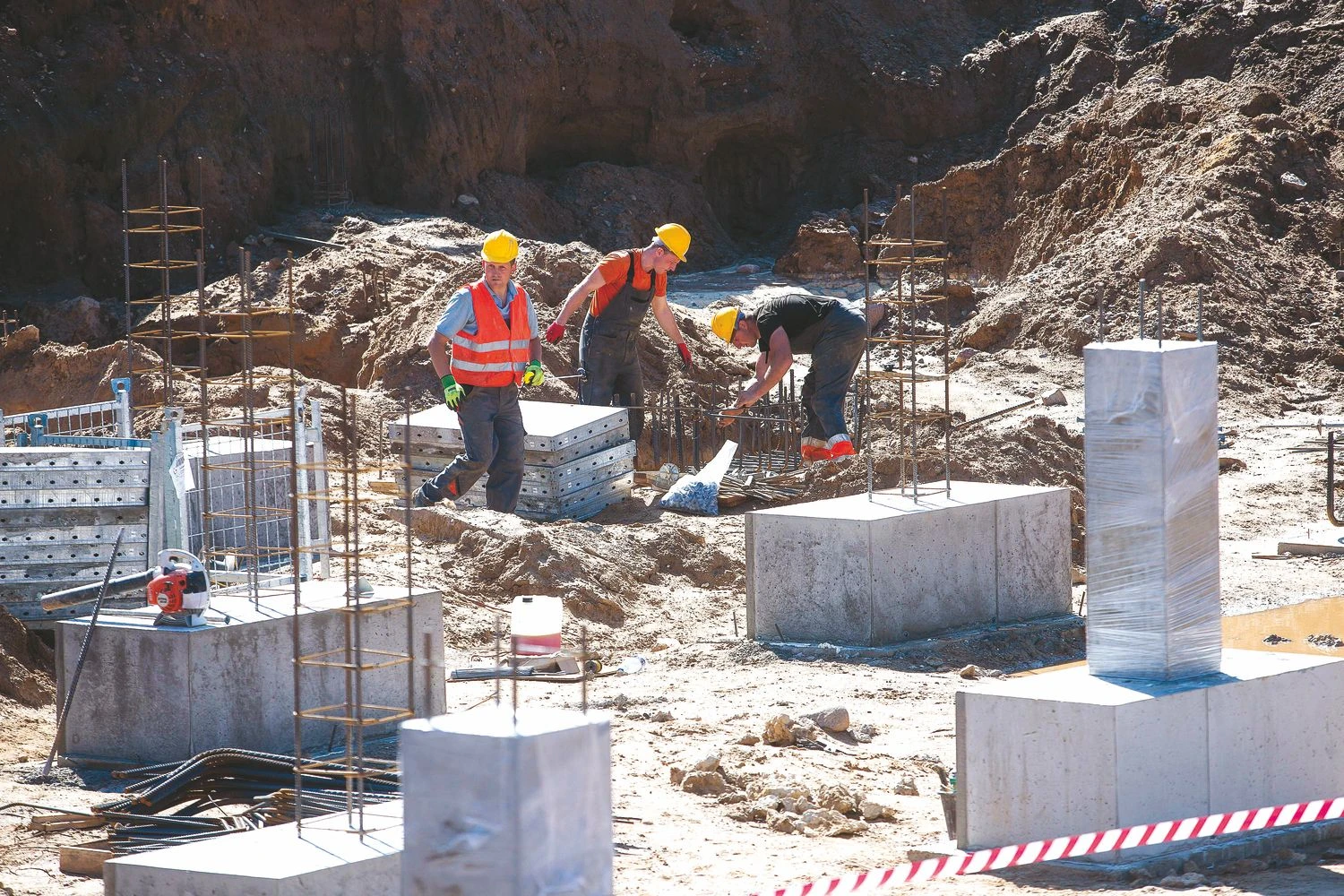 Vladimiro Ivanovo (VŽ) nuotr.