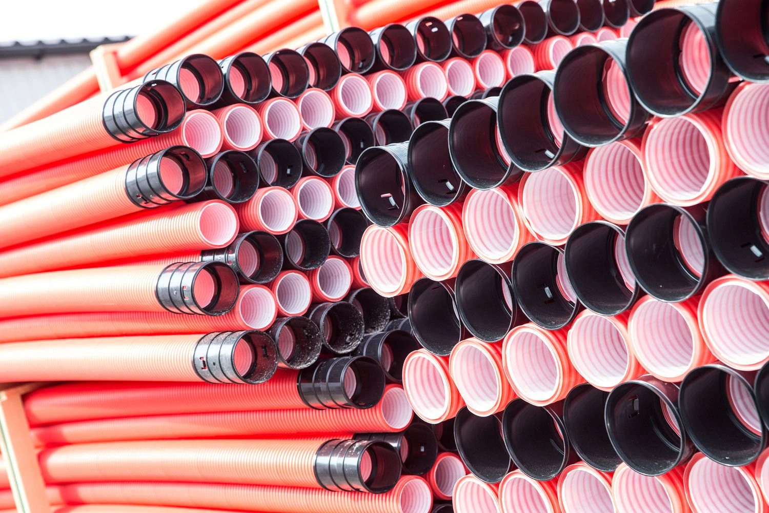 Juditos Grigelytės (VŽ) nuotr.