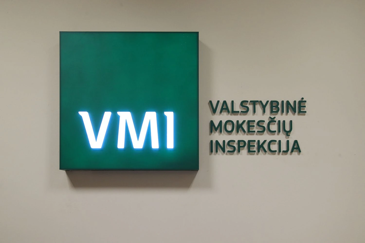 Vladimiro Ivanovo (VŽ) nuotr.