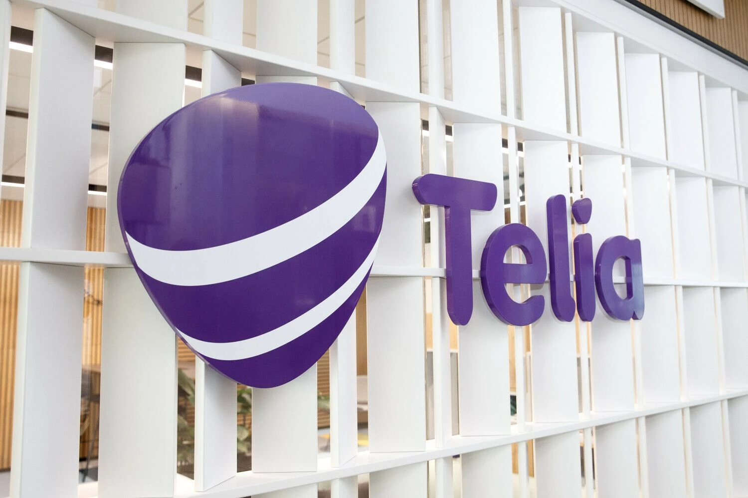 Juditos Grigelytės (VŽ) nuotr.