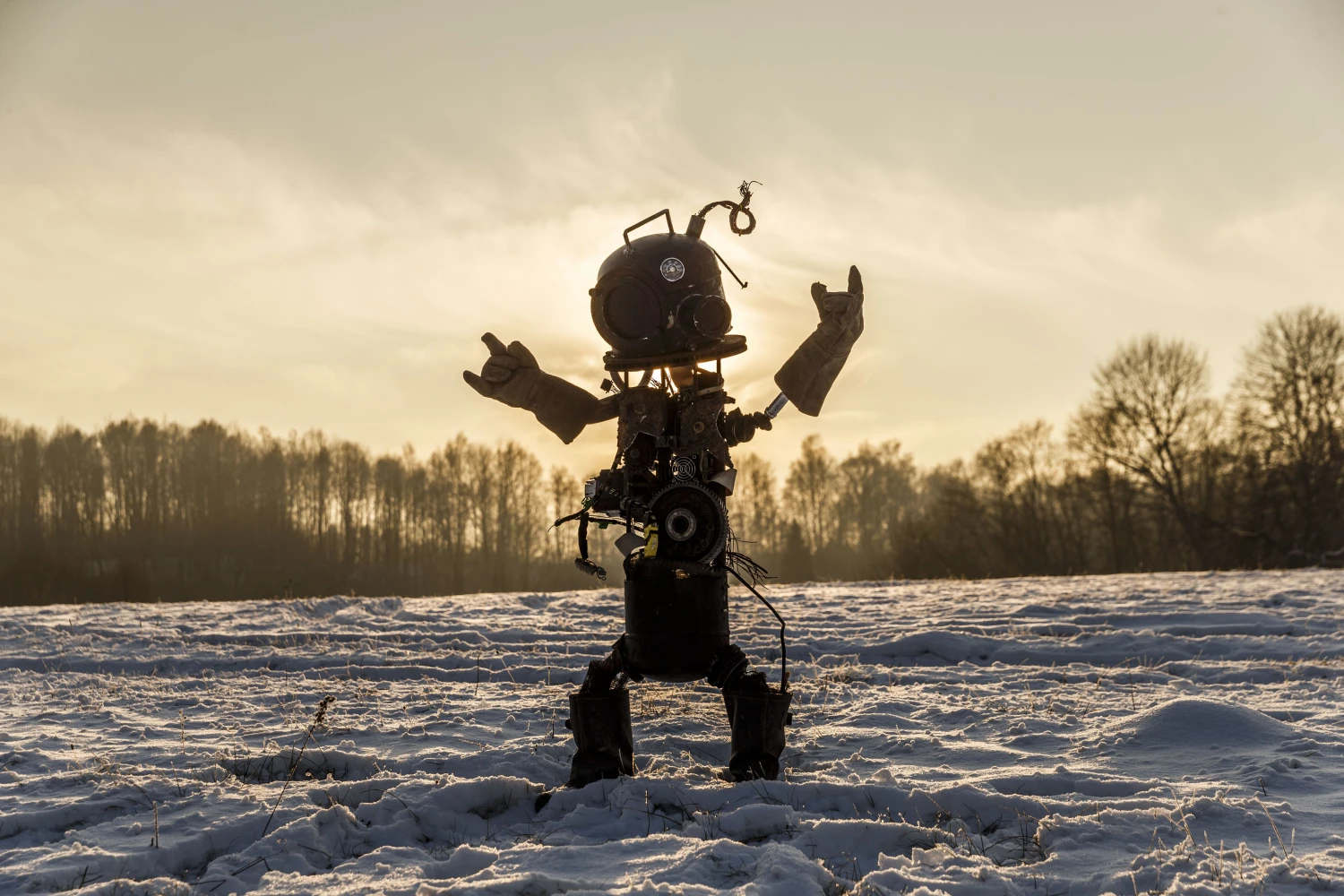 Vladimiro Ivanovo (VŽ) nuotr.