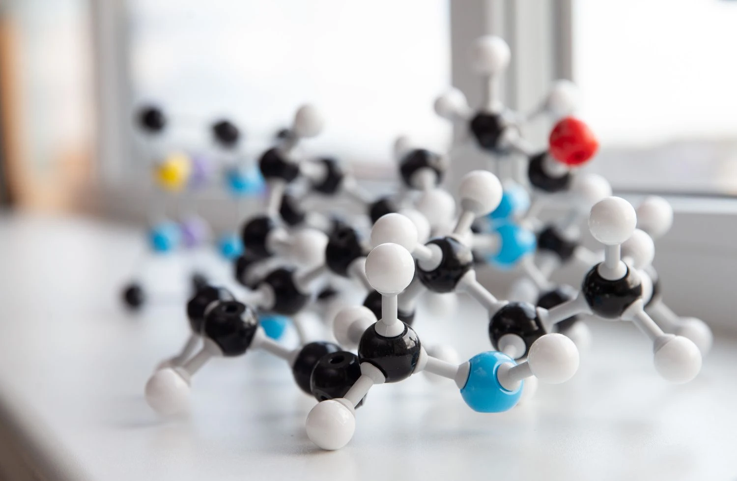 Juditos Grigelytės (VŽ) nuotr.