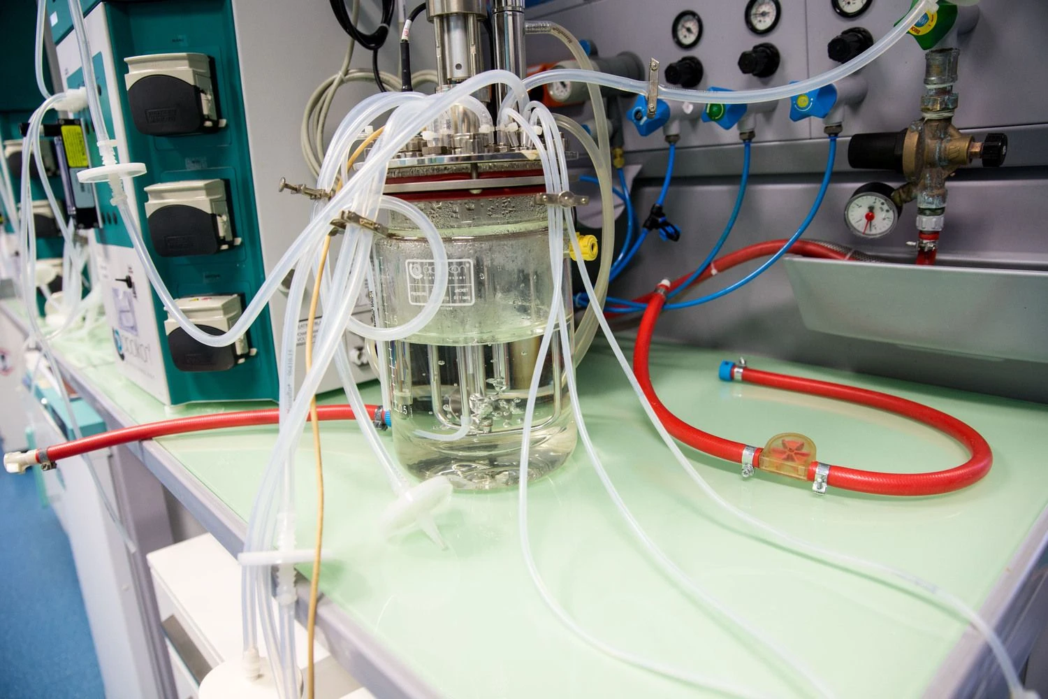 Vladimiro Ivanovo (VŽ) nuotr.