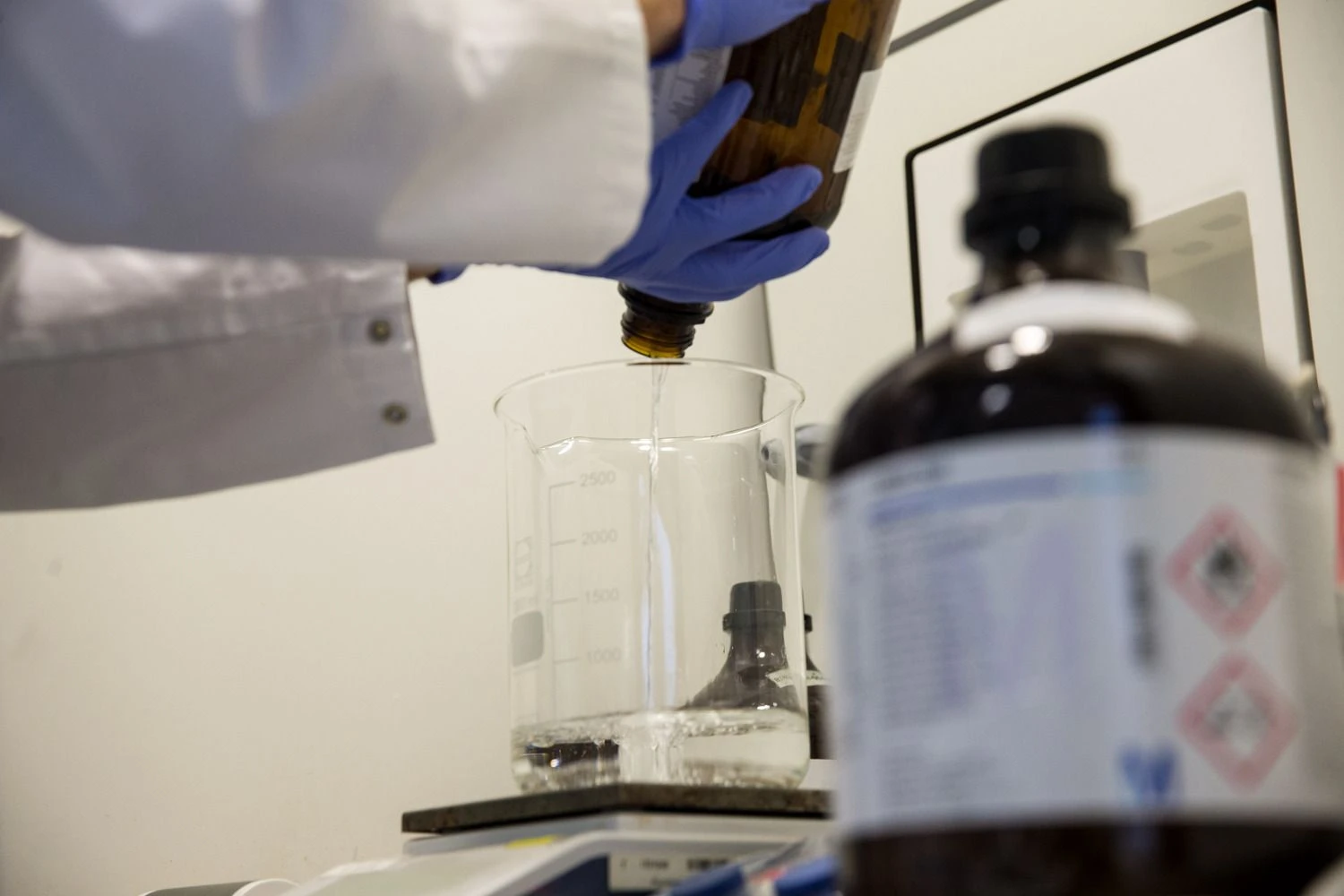 Vladimiro Ivanovo (VŽ) nuotr.