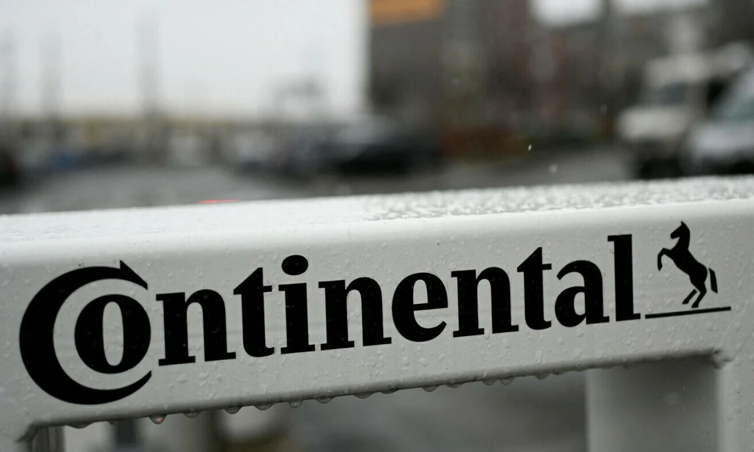 Fabiano Bimmerio („Reuters“ / „Scanpix“) nuotr.