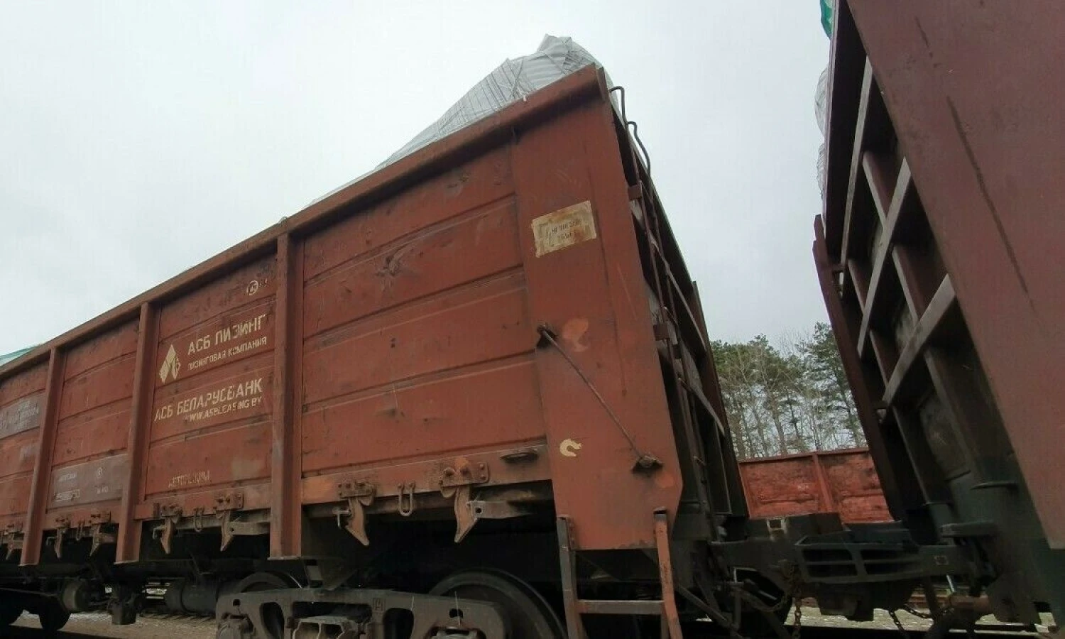 Lino Butkaus (VŽ) nuotr.