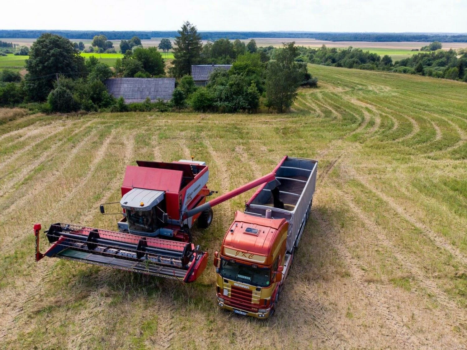 Vladimiro Ivanovo (VŽ) nuotr.