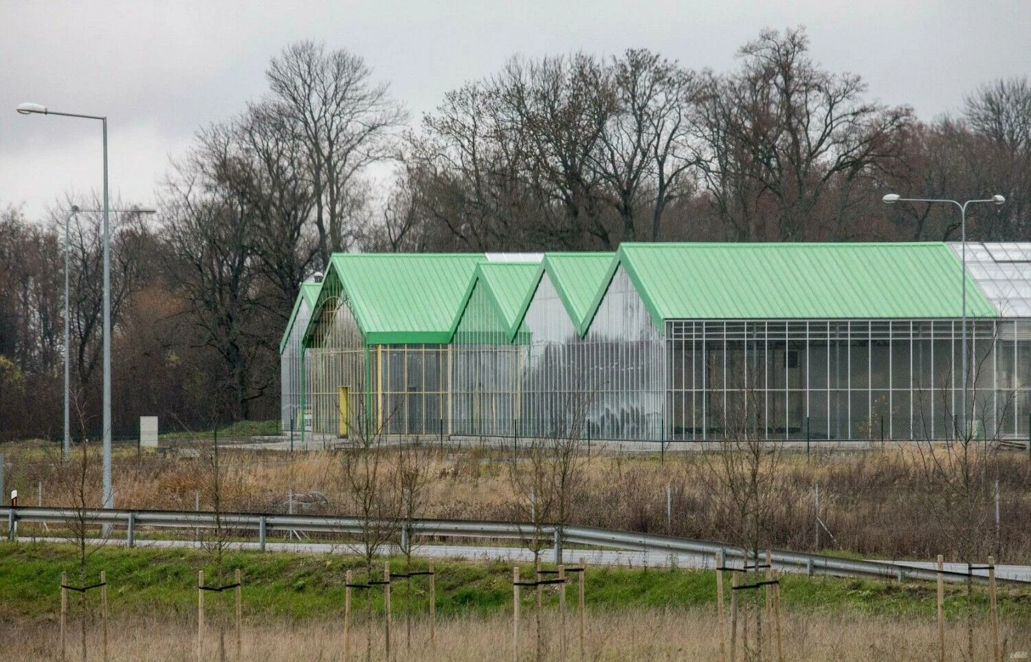 Juditos Grigelytės (VŽ) nuotr.