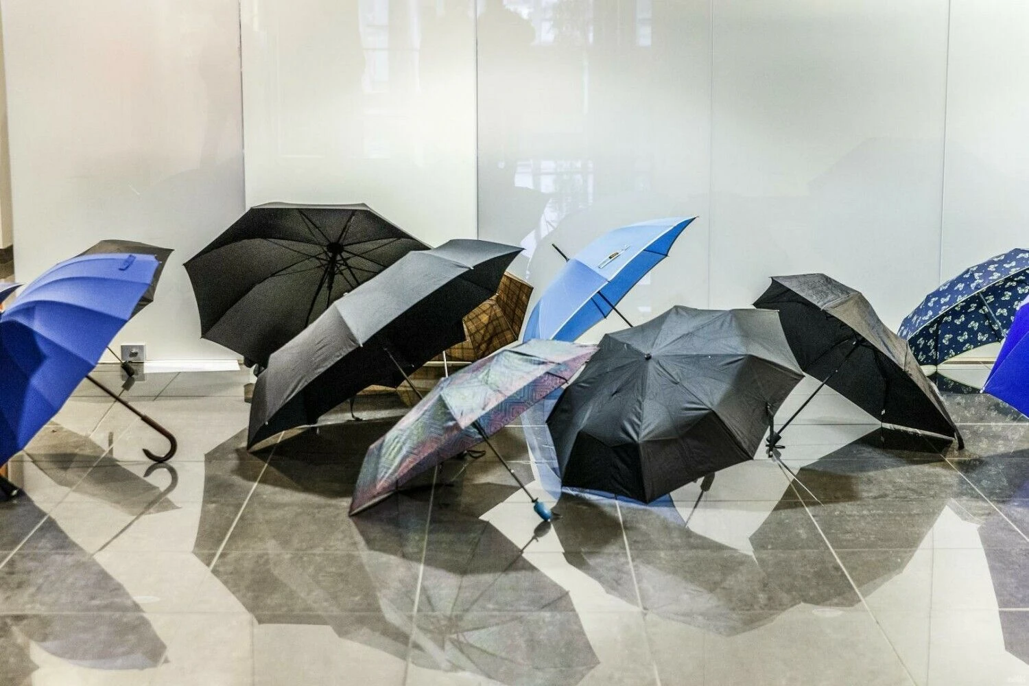 Vladimiro Ivanovo (VŽ) nuotr.