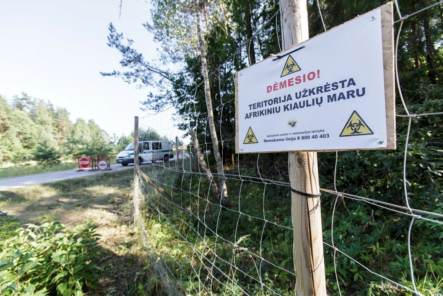 Vladimiro Ivanovo (VŽ) nuotr.