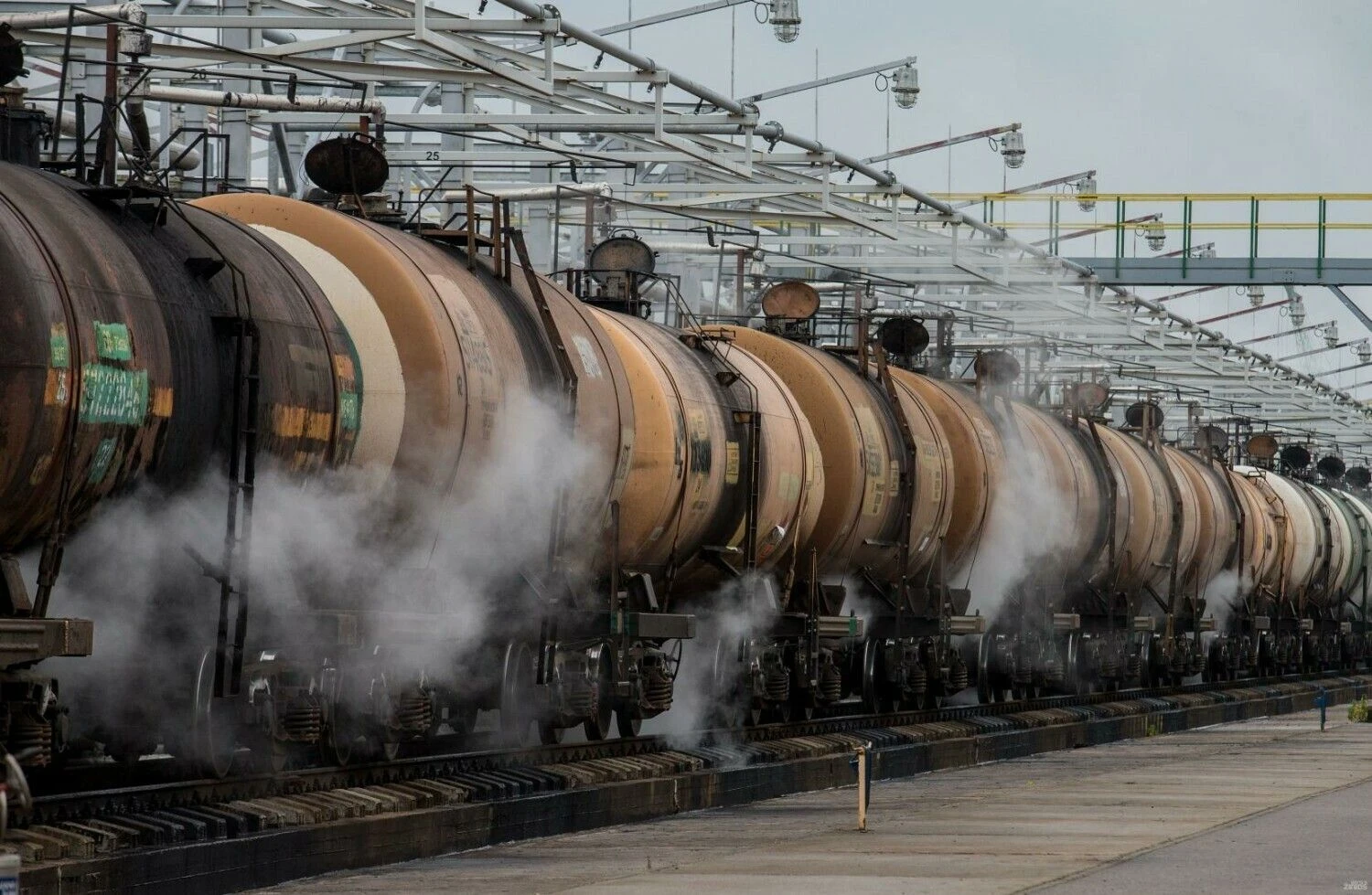 Juditos Grigelytės (VŽ) nuotr.